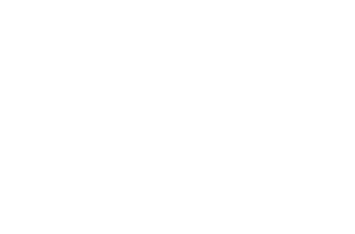 Bonsucesso Log Park Empreendimentos Imobiliarios Ltda.